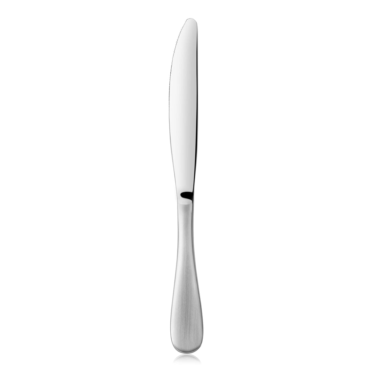RAIN 18/10 STAINLESS STEEL MATTE DINNER KNIFE