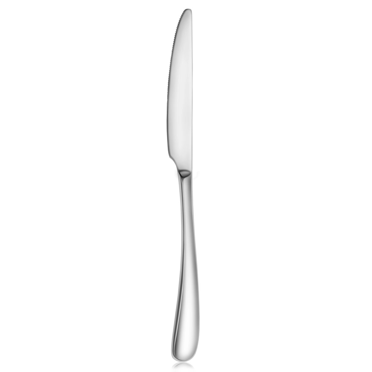 RAIN II 18/10 STAINLESS STEEL DINNER KNIFE
