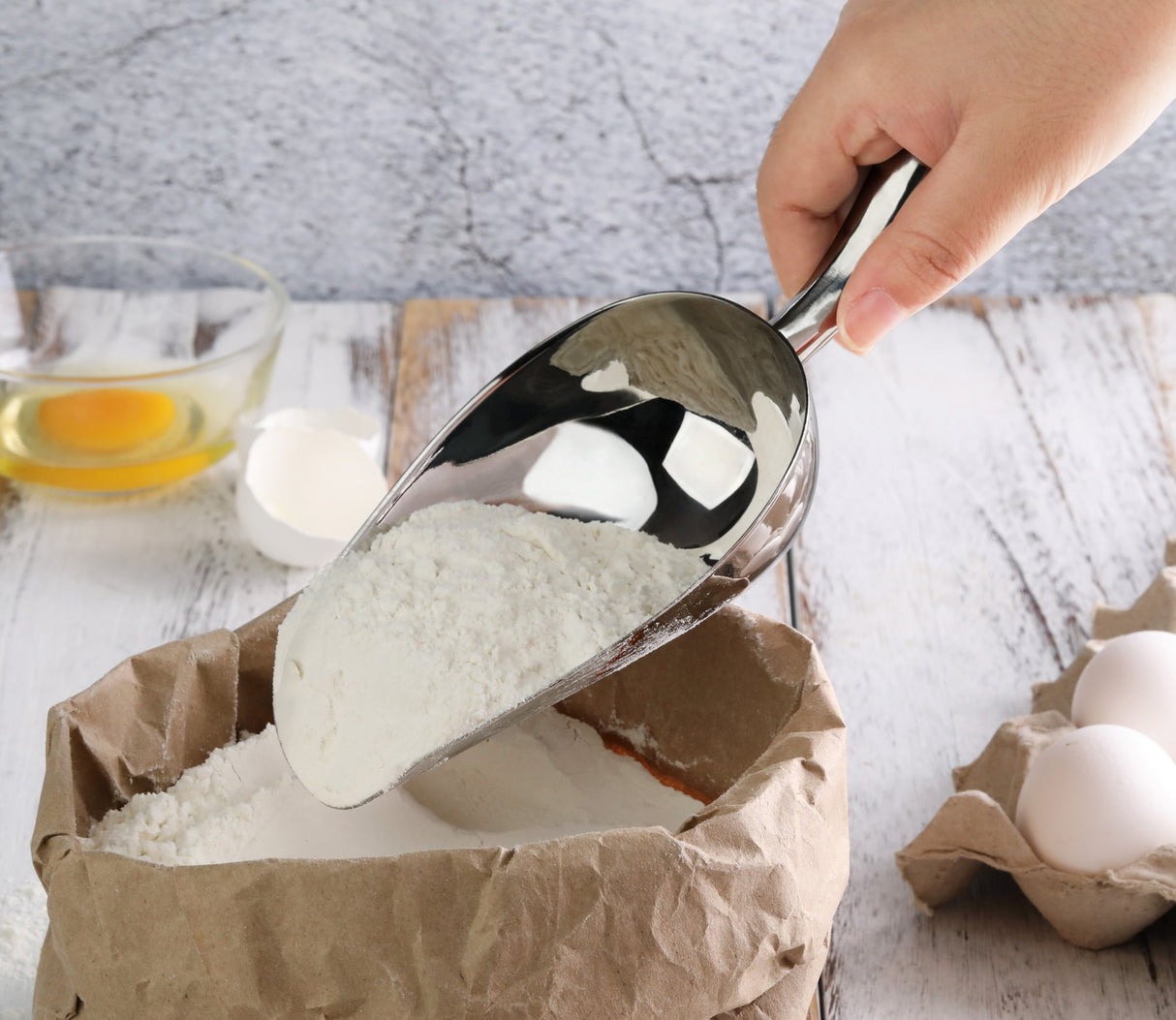 STAINLESS STEEL UTILITY SCOOP