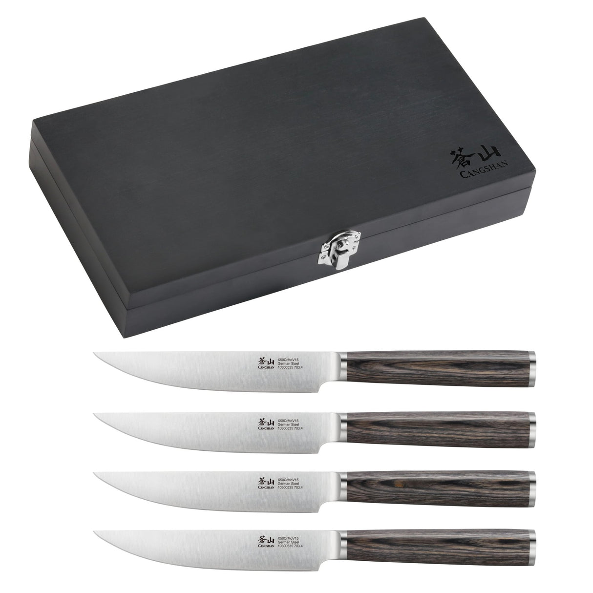 4-PIECE PAKKAWOOD STEAK KNIFE SET