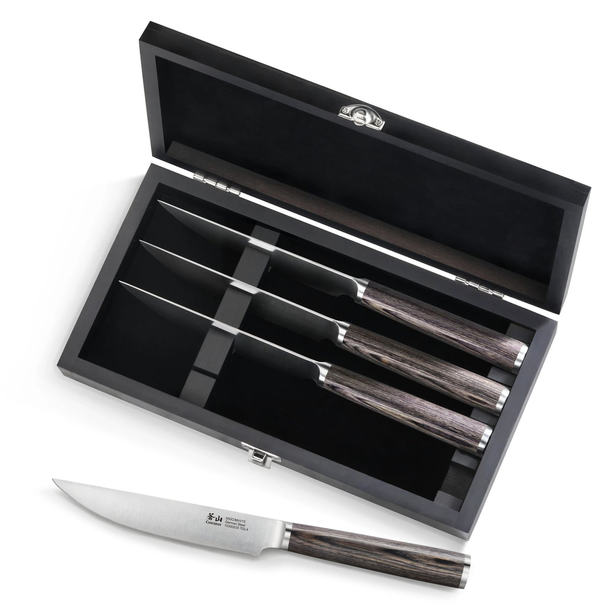 4-PIECE PAKKAWOOD STEAK KNIFE SET