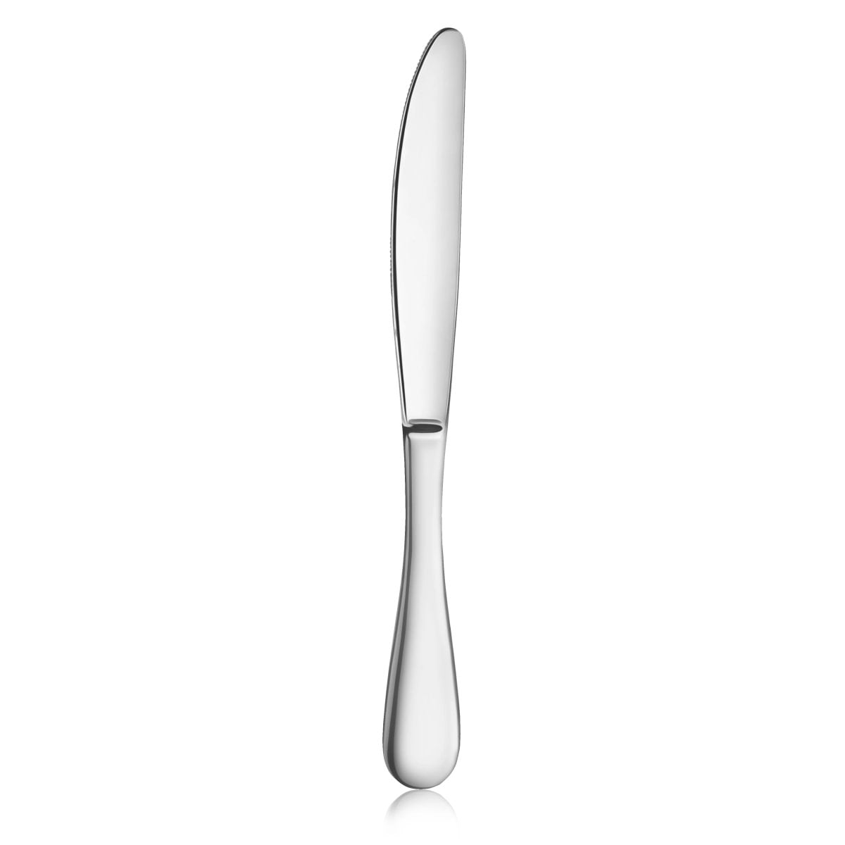 RAIN 18/10 STAINLESS STEEL DINNER KNIFE