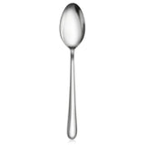 RAIN II 18/10 STAINLESS STEEL DINNER SPOON