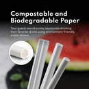 New Star Foodservice 1028645 Individually Wrapped Biodegradable Paper Drinking Straws, 500-Pack, White