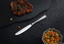 New Star Foodservice 58000 Slimline Pattern, 18/0 Stainless Steel, 90 Grams Heavy Duty Dinner Knife, 9-Inch, Set of 12